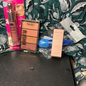 Amuse Blusher and Makeup Set